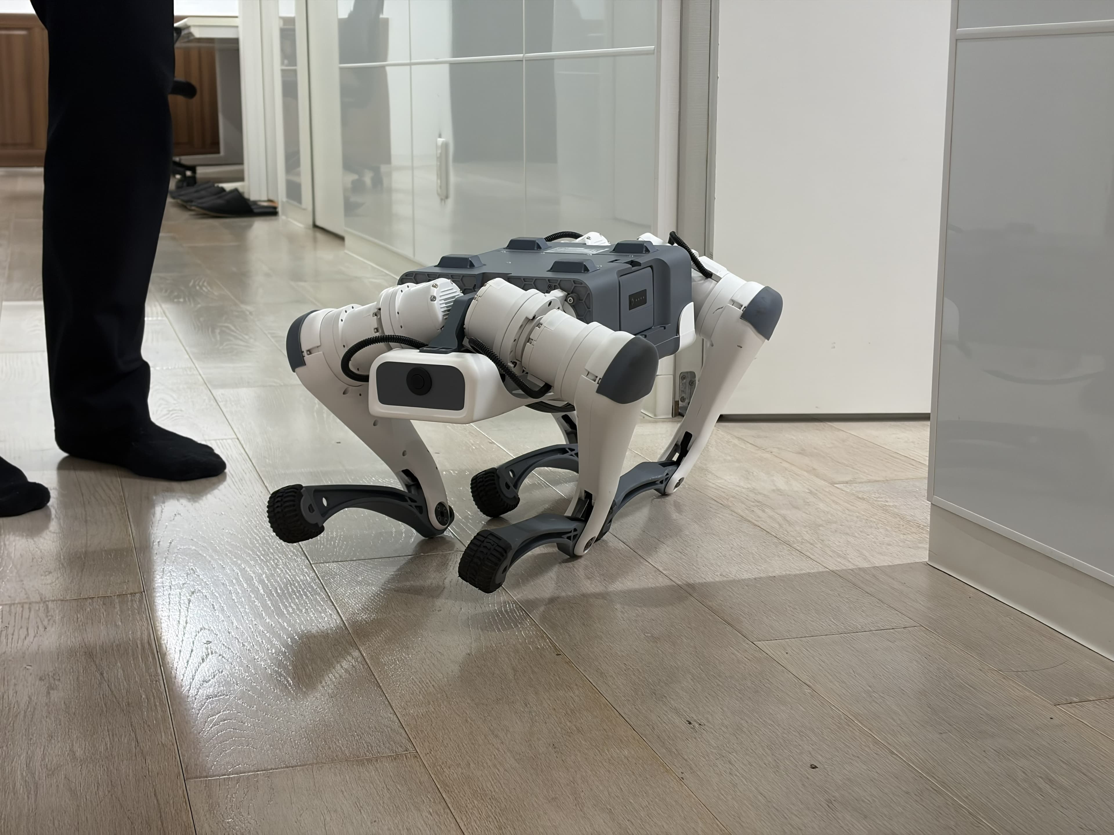 フィジカルAIの実装を加速。オフィスへの「犬型ロボット」導入とロボティクス制御技術の研究開発について