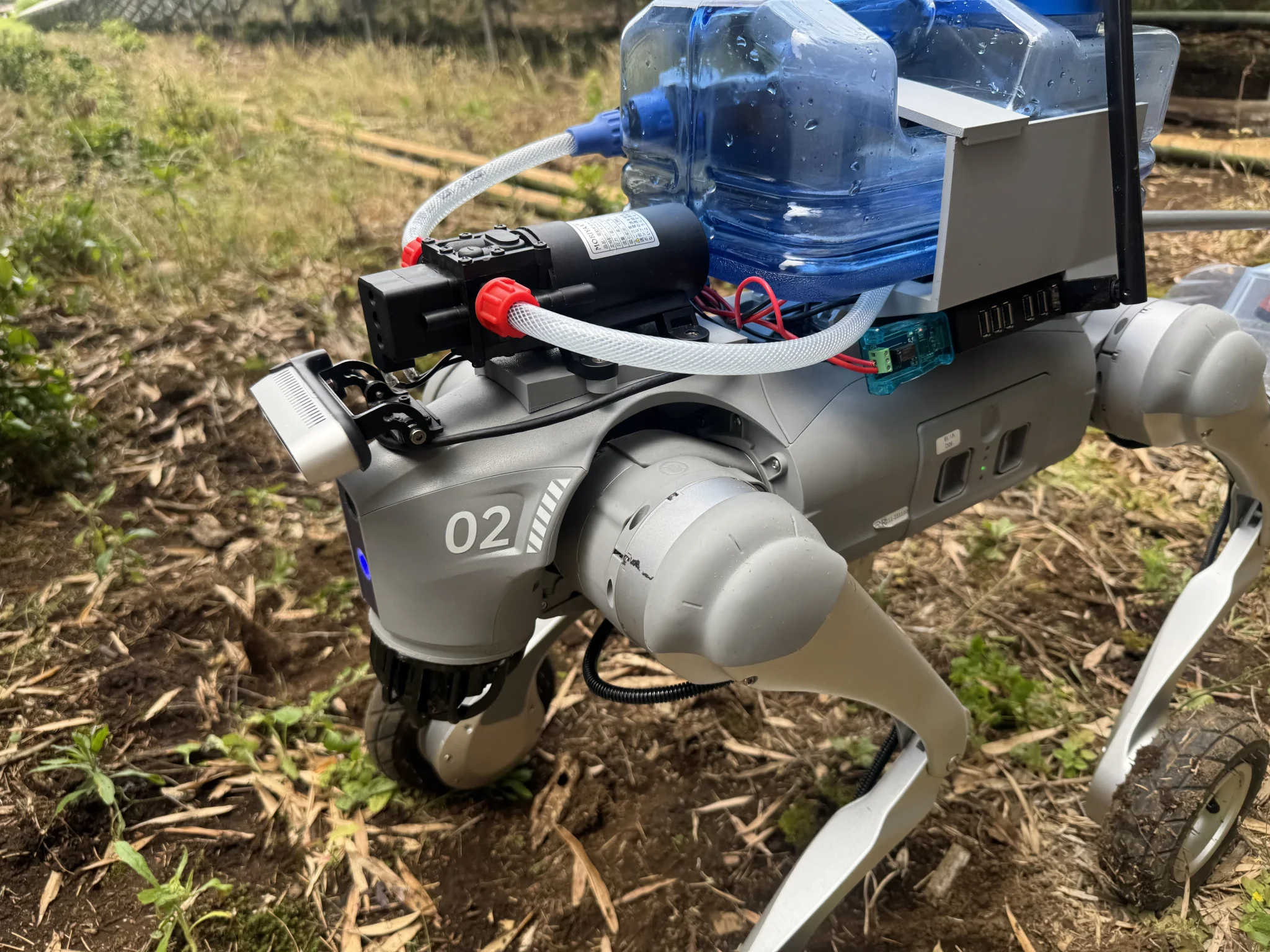 A quadruped robot spraying herbicide