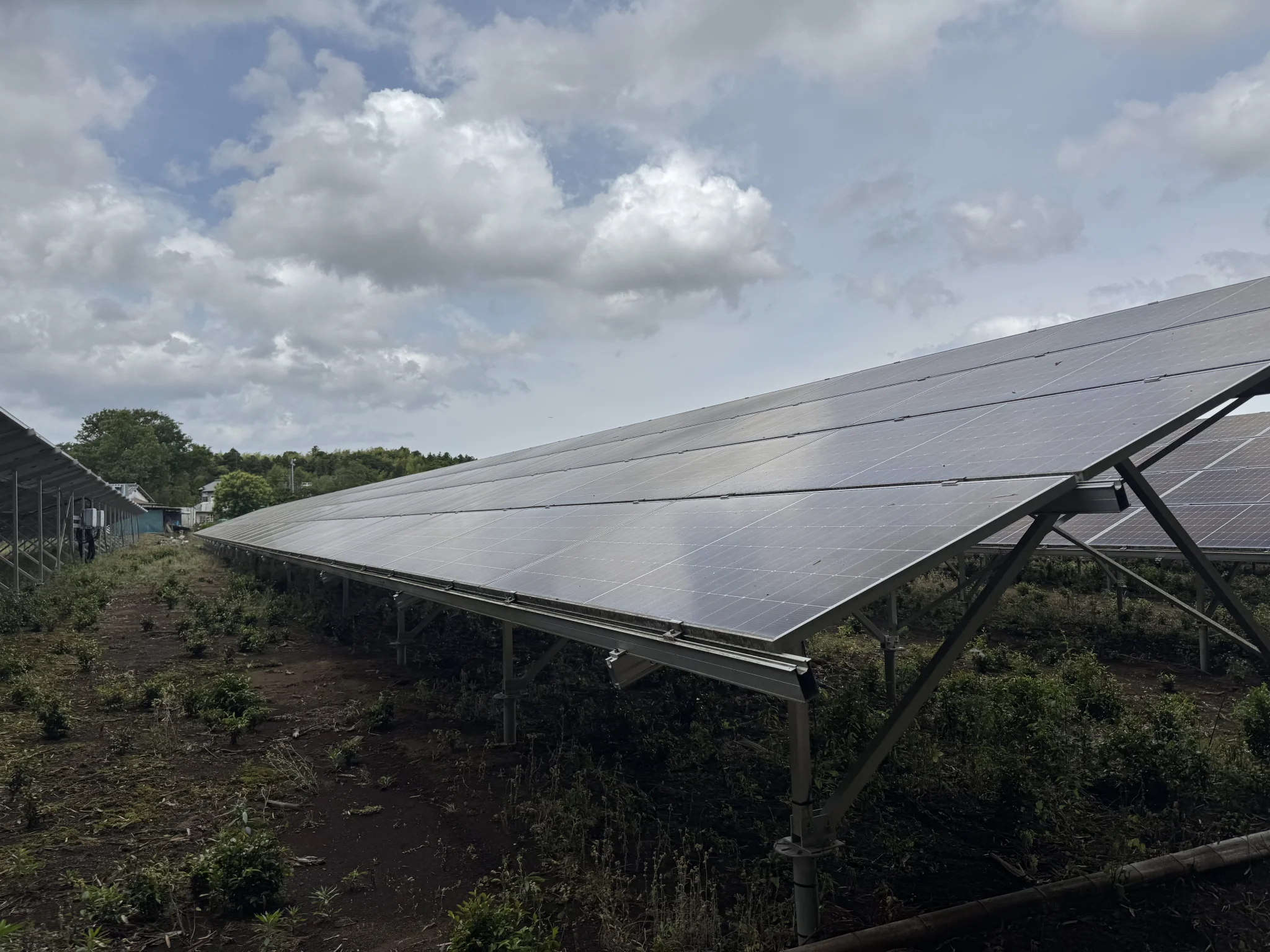 A quadruped robot traveling autonomously across a solar panel site